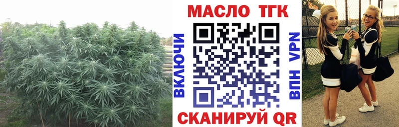 Купить  Обь  Дистиллят ТГК гашишное масло 
