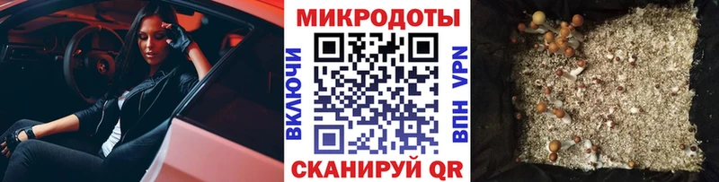 Псилоцибиновые грибы мицелий Купить где Обь